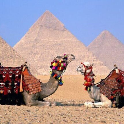 Budget 3-Days Private Tours around Cairo City, Giza Pyramids and Alexandria