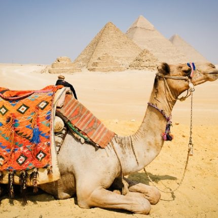 Full-Day Tour to Giza Pyramids, Sphinx, Memphis and Saqqara from Cairo