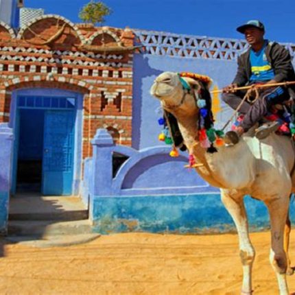 Aswan Highlights and Nubian Village From Luxor by Train - Private Full-Day Trip