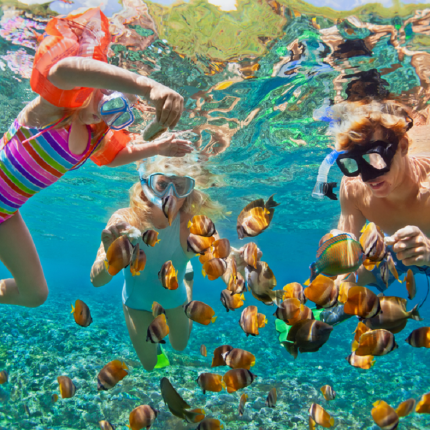 Amazing Snorkeling Trip to Utopia Island in Safaga from Luxor