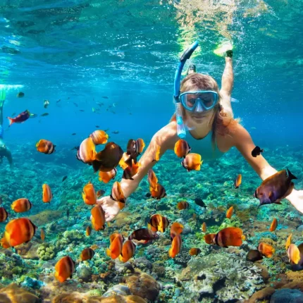 Special Snorkeling Day Trip to the Red Sea in Safaga from Luxor