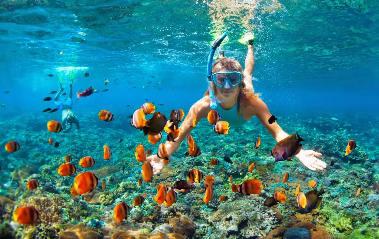 snorkel 8 snorkel 8